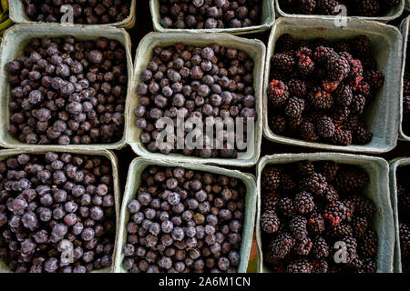 Brombeeren und Heidelbeeren zu einem Bauernmarkt in Kartons Stockfoto