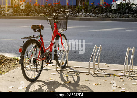 Ein rotes Fahrrad mit Gepäck Warenkorb ist in einem Parkplatz und seinem Schatten in der Nähe der Fahrbahn geparkt. An einem warmen sonnigen Herbsttag. Das Leben in der Stadt. Stockfoto