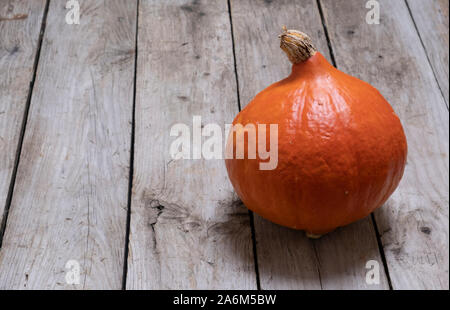 Uchiki kuri Squash, ein Kürbis Art Gemüse wie Zwiebeln, Squash, das wie ein kleiner Kürbis bekannt Stockfoto