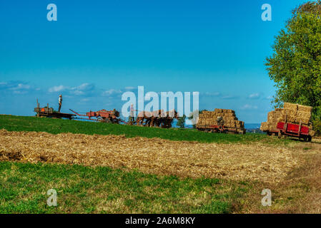 Amish farmers Ernten von Heu, Lancaster County in Pennsylvania. Stockfoto
