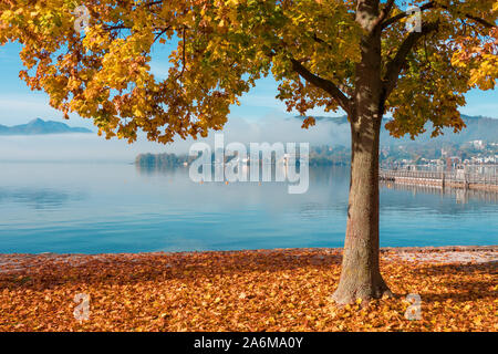 Malerischer Blick auf den Traunsee in Gmunden, OÖ, Österreich, an einem schönen Tag im Herbst mit einem orangefarbenen Baum im Vordergrund. Stockfoto