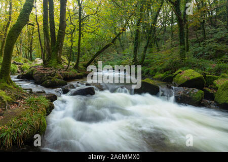 Golitha Falls entlang des Flusses im Osten Cornwall Fowey Stockfoto