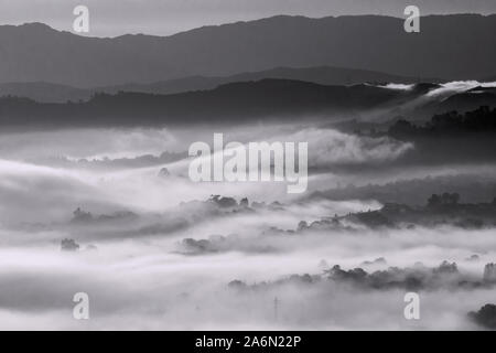 Silhouetten von foggy Bäume in Berge Tal - schwarze und weiße Landschaft Hintergrund. Asturien, Spanien. Stockfoto
