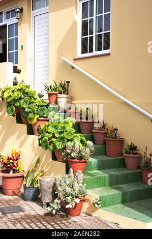 Mehrere Pflanzen schmücken mit ihren Farben der Eingang einer Eigenschaft von der Straße aus gesehen Stockfoto