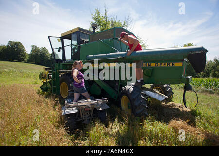 Farmer John Williamson stellt einen vor der Ernte von Hafer am 7. August 2012 auf seiner Familie 200-acre Farm in North Bennington, Vermont kombinieren. Williamson, der Vater verkaufte ihre Milchkühe und jetzt die Farm als Pilotprojekt für Ölsaaten nachhaltig Biodiesel produziert. Williamson hatte über 40 Hektar seiner Felder mit Sonnenblumen gepflanzt. Auch er Experimente mit Hirse, Leinsamen, Raps, Senf und Safran. Er wächst konventionelle Getreide wie Hafer zum Verkauf als Futtermittel. Williamson's Projekt Zuschüsse von der Universität von Vermont für Maschinen für die Herstellung von Biodiesel. Stockfoto