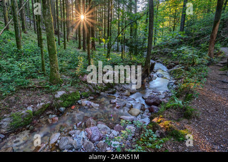 Kleine torrent am Edelfrauengrab Wasserfälle in der Nähe von Oppenau im Schwarzwald, Deutschland Stockfoto