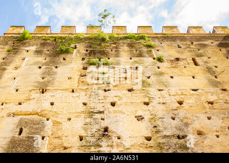 Fassade/Front eines alten Gebäudes in Spanien voll von Tauben Nester Stockfoto