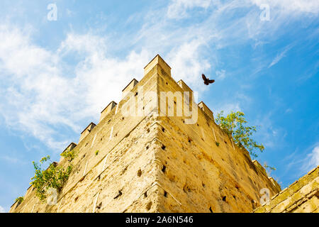 Fassade/Front eines alten Gebäudes in Spanien voll von Tauben Nester Stockfoto
