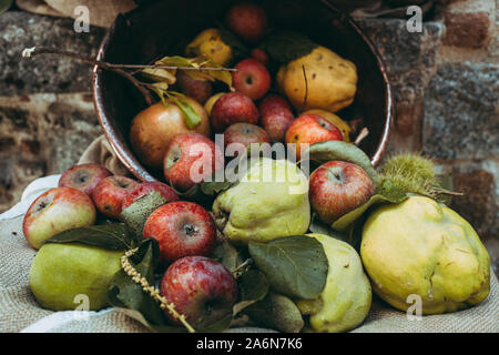 Sortiment von Herbst saisonal rohe frische Früchte Stockfoto