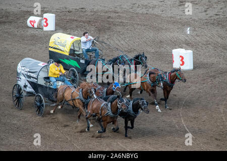 GMC Rangeland Derby Chuckwagon Racing bei der Calgary Stampede Tribüne, Calgary, Alberta, Kanada. Juli 9th, 2019. Stockfoto