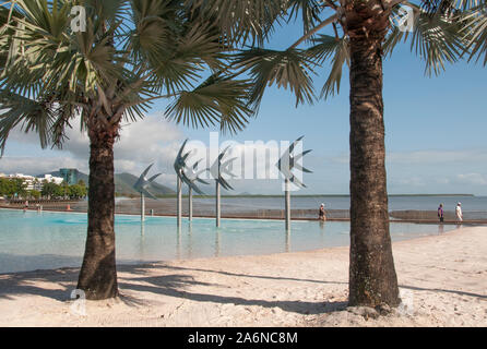 Die Lagoon Pool auf Cairns Esplanade bietet das ganze Jahr eine sichere, Schwimmen von stingers und Krokodile. North Queensland, Australien Stockfoto