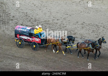 GMC Rangeland Derby Chuckwagon Racing bei der Calgary Stampede Tribüne, Calgary, Alberta, Kanada. Juli 9th, 2019. Stockfoto