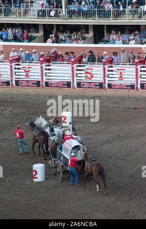 GMC Rangeland Derby Chuckwagon Racing bei der Calgary Stampede Tribüne, Calgary, Alberta, Kanada. Juli 9th, 2019. Stockfoto