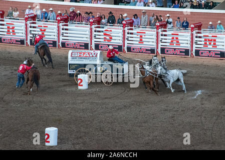 GMC Rangeland Derby Chuckwagon Racing bei der Calgary Stampede Tribüne, Calgary, Alberta, Kanada. Juli 9th, 2019. Stockfoto