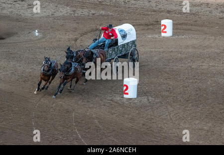 GMC Rangeland Derby Chuckwagon Racing bei der Calgary Stampede Tribüne, Calgary, Alberta, Kanada. Juli 9th, 2019. Stockfoto