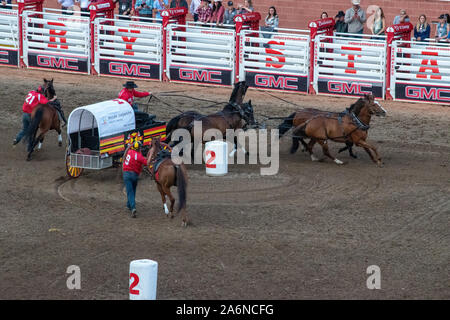 GMC Rangeland Derby Chuckwagon Racing bei der Calgary Stampede Tribüne, Calgary, Alberta, Kanada. Juli 9th, 2019. Stockfoto