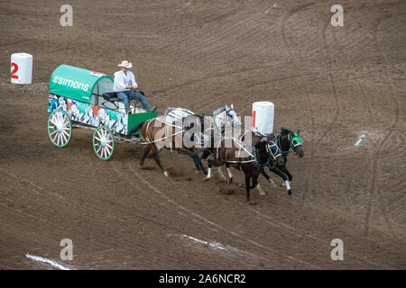 GMC Rangeland Derby Chuckwagon Racing bei der Calgary Stampede Tribüne, Calgary, Alberta, Kanada. Juli 9th, 2019. Stockfoto