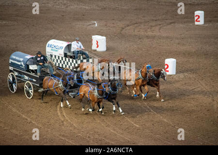 GMC Rangeland Derby Chuckwagon Racing bei der Calgary Stampede Tribüne, Calgary, Alberta, Kanada. Juli 9th, 2019. Stockfoto