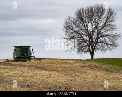 Polk City, Iowa, USA. 27 Okt, 2019. AARON LEHMAN, Präsident der Iowa Farmers Union, Ernten organischen Sojabohnen auf seiner Farm in der Nähe von Polk City, Iowa. Iowa Landwirte haben die Wochen hinter dem Zeitplan durch die meisten der 2019 Saison. Ein kalter, nasser Frühling über die meisten staatlichen verzögerten Aussaat von ca. 2 Wochen. Ein historisch nassen Oktober hat die Ernte von Sojabohnen und Mais von bis zu 3 Wochen geschoben. Lehman sagte, hat er zwei Wochen hinter auf seinem Soja-ernte weiter hinter auf Mais. Die USDA sagten über 30% der Sojabohnen geerntet worden sind, und nur 15% der Mais geerntet. Stockfoto