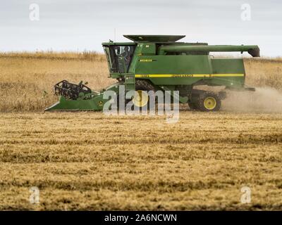 Polk City, Iowa, USA. 27 Okt, 2019. AARON LEHMAN, Präsident der Iowa Farmers Union, Ernten organischen Sojabohnen auf seiner Farm in der Nähe von Polk City, Iowa. Iowa Landwirte haben die Wochen hinter dem Zeitplan durch die meisten der 2019 Saison. Ein kalter, nasser Frühling über die meisten staatlichen verzögerten Aussaat von ca. 2 Wochen. Ein historisch nassen Oktober hat die Ernte von Sojabohnen und Mais von bis zu 3 Wochen geschoben. Lehman sagte, hat er zwei Wochen hinter auf seinem Soja-ernte weiter hinter auf Mais. Die USDA sagten über 30% der Sojabohnen geerntet worden sind, und nur 15% der Mais geerntet. Stockfoto