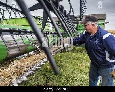 Polk City, Iowa, USA. 27 Okt, 2019. AARON LEHMAN, Präsident der Iowa Farmers Union, reinigt aus seinem Spreu Mähdrescher bei der Ernte organischen Sojabohnen auf seiner Farm in der Nähe von Polk City, Iowa. Iowa Landwirte haben die Wochen hinter dem Zeitplan durch die meisten der 2019 Saison. Ein kalter, nasser Frühling über die meisten staatlichen verzögerten Aussaat von ca. 2 Wochen. Ein historisch nassen Oktober hat die Ernte von Sojabohnen und Mais bis 3 Wochen geschoben. Lehman sagte, hat er zwei Wochen hinter auf seinem Soja-ernte weiter hinter auf Mais. Die USDA sagten über 30% der Sojabohnen geerntet wurden, und Onl Stockfoto