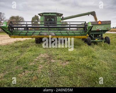 Polk City, Iowa, USA. 27 Okt, 2019. AARON LEHMAN, Präsident der Iowa Farmers Union, Leergut geerntet organischen Sojabohnen aus seinem Mähdrescher in einen Anhänger auf seiner Farm in der Nähe von Polk City, Iowa. Iowa Landwirte haben die Wochen hinter dem Zeitplan durch die meisten der 2019 Saison. Ein kalter, nasser Frühling über die meisten staatlichen verzögerten Aussaat von ca. 2 Wochen. Ein historisch nassen Oktober hat die Ernte von Sojabohnen und Mais von bis zu 3 Wochen geschoben. Lehman sagte, hat er zwei Wochen hinter auf seinem Soja-ernte weiter hinter auf Mais. Die USDA sagten über 30% der Sojabohnen geerntet wurden, und Stockfoto