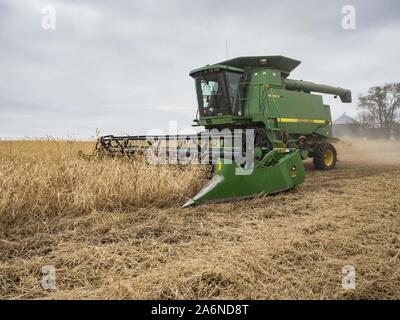 Polk City, Iowa, USA. 27 Okt, 2019. AARON LEHMAN, Präsident der Iowa Farmers Union, Ernten organischen Sojabohnen auf seiner Farm in der Nähe von Polk City, Iowa. Iowa Landwirte haben die Wochen hinter dem Zeitplan durch die meisten der 2019 Saison. Ein kalter, nasser Frühling über die meisten staatlichen verzögerten Aussaat von ca. 2 Wochen. Ein historisch nassen Oktober hat die Ernte von Sojabohnen und Mais von bis zu 3 Wochen geschoben. Lehman sagte, hat er zwei Wochen hinter auf seinem Soja-ernte weiter hinter auf Mais. Die USDA sagten über 30% der Sojabohnen geerntet worden sind, und nur 15% der Mais geerntet. Stockfoto