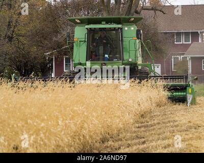 Polk City, Iowa, USA. 27 Okt, 2019. AARON LEHMAN, Präsident der Iowa Farmers Union, Ernten organischen Sojabohnen auf seiner Farm in der Nähe von Polk City, Iowa. Iowa Landwirte haben die Wochen hinter dem Zeitplan durch die meisten der 2019 Saison. Ein kalter, nasser Frühling über die meisten staatlichen verzögerten Aussaat von ca. 2 Wochen. Ein historisch nassen Oktober hat die Ernte von Sojabohnen und Mais von bis zu 3 Wochen geschoben. Lehman sagte, hat er zwei Wochen hinter auf seinem Soja-ernte weiter hinter auf Mais. Die USDA sagten über 30% der Sojabohnen geerntet worden sind, und nur 15% der Mais geerntet. Stockfoto