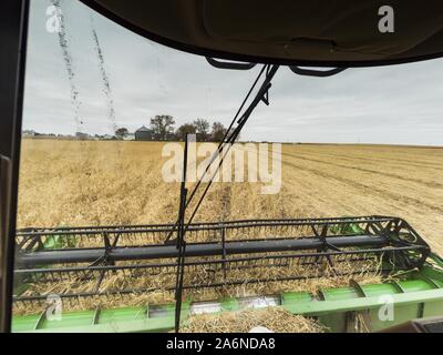 Polk City, Iowa, USA. 27 Okt, 2019. AARON LEHMAN, Präsident der Iowa Farmers Union, Ernten organischen Sojabohnen auf seiner Farm in der Nähe von Polk City, Iowa. Iowa Landwirte haben die Wochen hinter dem Zeitplan durch die meisten der 2019 Saison. Ein kalter, nasser Frühling über die meisten staatlichen verzögerten Aussaat von ca. 2 Wochen. Ein historisch nassen Oktober hat die Ernte von Sojabohnen und Mais von bis zu 3 Wochen geschoben. Lehman sagte, hat er zwei Wochen hinter auf seinem Soja-ernte weiter hinter auf Mais. Die USDA sagten über 30% der Sojabohnen geerntet worden sind, und nur 15% der Mais geerntet. Stockfoto