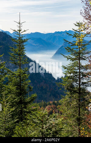 Ebensee, den Traunsee und Traunstein aus der Grünberg in der Nähe von Gmunden, OÖ, Österreich gesehen, an einem sonnigen Tag im Herbst Stockfoto