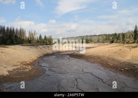 Ausgetrocknet Oderteich im Harz, Deutschland Stockfoto