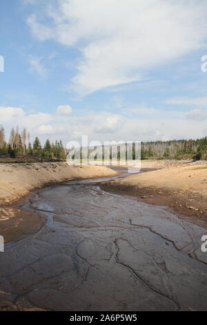 Ausgetrocknet Oderteich im Harz, Deutschland Stockfoto