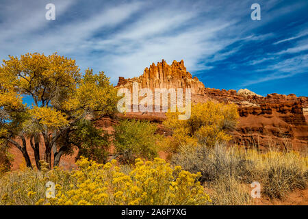 Dieser Blick auf das Schloss, im Capitol Reef National Park, Utah, USA. Diese Ansicht zeigt die Farben des Herbstes auf der Cottonwood Bäumen und Kaninchen Bürste. Stockfoto