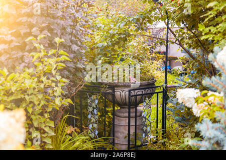 Blühender Garten im Innenhof eines Landhauses mit einer Vase und einem Bett aus Stein mit Blumen von grünen Pflanzen und Bäumen umgeben. Stockfoto