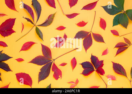 Herbst Blätter auf gelbem Hintergrund Stockfoto