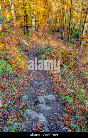 Pfad in den bunten Herbst Wald Stockfoto