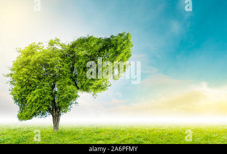 Realistische Leber Bilder sind menschliche Grüner Baum Formen über Krankheiten und Zirrhose (Umwelt). Stockfoto