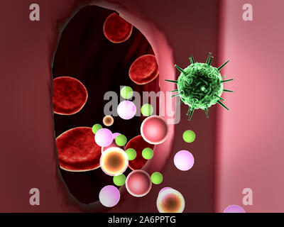 Virus in die Zelle, die Vermehrung des Virus in die Leberzelle, Viren in die Zelle, Viren infizieren die Zelle, virusangriff die Leberzellen, Stockfoto