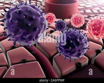 Struktur der Leber, Immunsystem, Leber Oberfläche, Leberzellen, Erkrankungen der Leber, Leber Struktur, Stockfoto