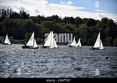 Auf dem Essener Baldeneysee Sindh, bei windigem Wetter, viele Segler unterwegs. Stockfoto