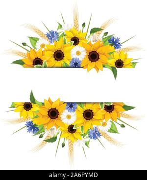 Vector Hintergrund mit Sonnenblumen, Gänseblümchen, Kornblumen, Ähren und Blätter auf einem weißen Hintergrund. Stock Vektor