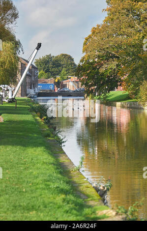 Herbst Farben auf dem Driffield Kanal in der East Riding von Yorkshire, UK. GB. Stockfoto