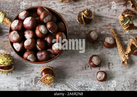 Kastanien. Roßkastanien. Herbstliche Stimmung. Blätter von einer Kastanie. Stockfoto