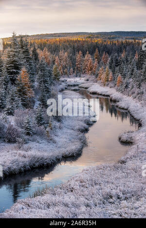 William A. Switzer Provincial Park in Alberta, Kanada Stockfoto