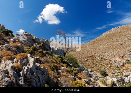 Fußweg vom Mikro Horio zu Lethra Strand, Tilos, Dodecanese Inseln, südliche Ägäis, Griechenland. Stockfoto