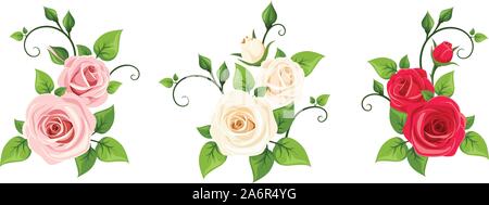 Satz von drei Vector rot, rosa und weißen Rosen Filialen auf einem weißen Hintergrund. Stock Vektor