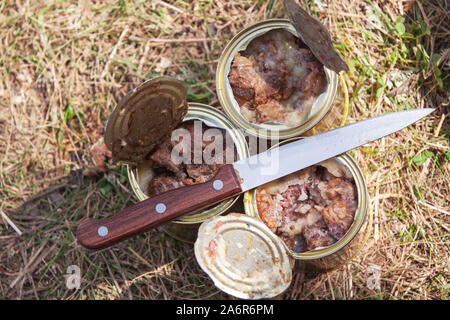 Einfache Wanderung essen. Rinderragout in offenen Dosen mit Messer stehen auf einem Waldboden. Ansicht von oben Stockfoto