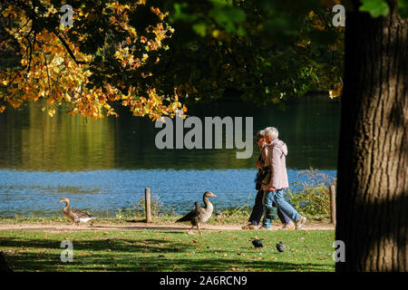 Oktober 16, 2019, Lyon, Auvergne-Rh ône-Alpes, Frankreich - Herbst laufen. Wanderer Spaziergang im Park des Tête d'Or und Gänse auf ihrem Weg treffen Stockfoto