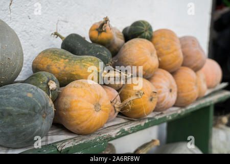 Viel Squash auf dem Vintage Bank Stockfoto