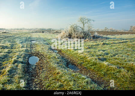 Raureif auf der Wiese und Schmutz der Straße Richtung Horizont, im östlichen Polen Stockfoto